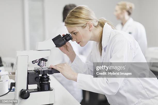 scientist working in pathology lab - pathologist stock pictures, royalty-free photos & images