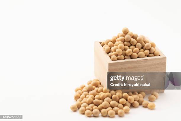 soybean - soybean stock-fotos und bilder