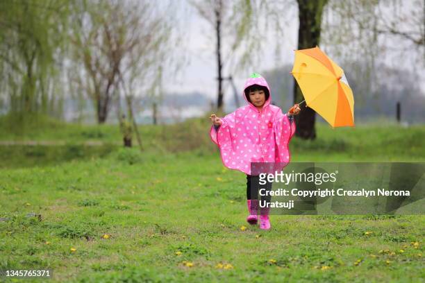 little child take a walk in the park on rainy day - レインコート ストックフォトと画像