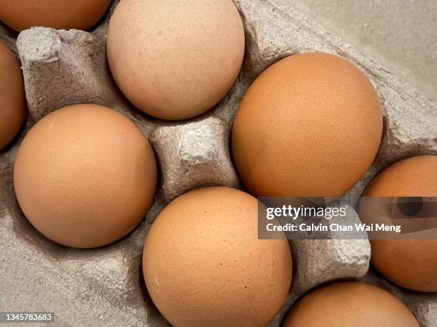 imported fresh eggs - salmonella typhimurium stock pictures, royalty-free photos & images