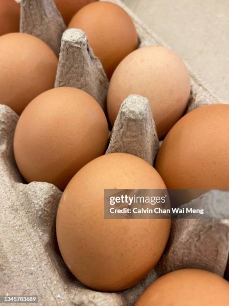 fresh raw eggs - salmonella bacterium stockfoto's en -beelden