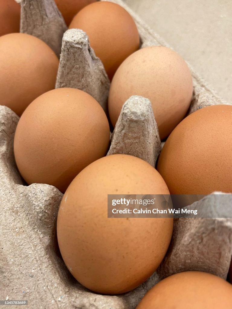 Fresh Raw Eggs