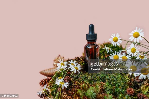 serum glass bottle with pipette with the moss and other natural decorations - herb stock photos et images de collection