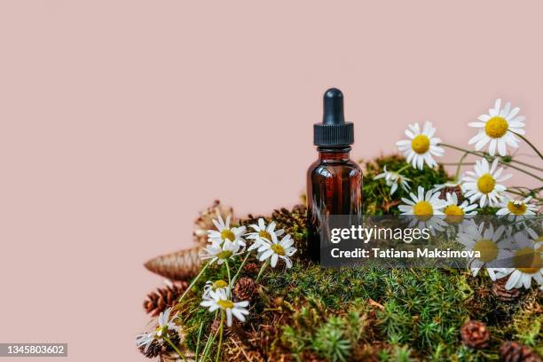 serum glass bottle with pipette with the moss and other natural decorations - camomilla foto e immagini stock