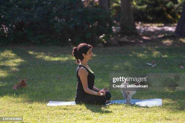 foto einer erwachsenen frau, die sich mit ihren haustierkatzen im öffentlichen park für yoga streckt - chantiers stock-fotos und bilder