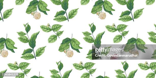 stockillustraties, clipart, cartoons en iconen met beautiful seamless vector floral pattern, spring summer background, jungle leaf, jasmine flower, exotic wallpaper - jasmine flower