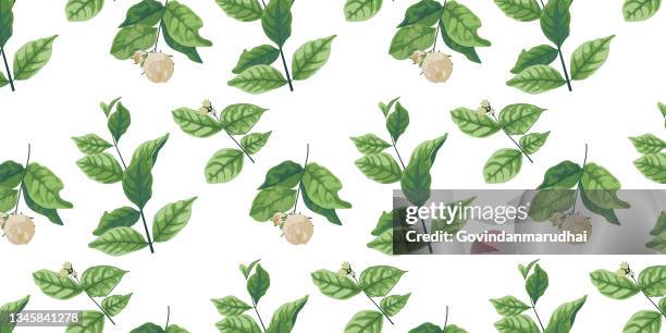 beautiful seamless vector floral pattern, spring summer background, jungle leaf, jasmine flower, exotic wallpaper - jasmine stock illustrations