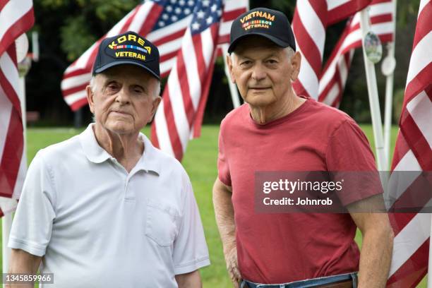 korean war and vietnam veteran in a field of american flags - war veteran bildbanksfoton och bilder