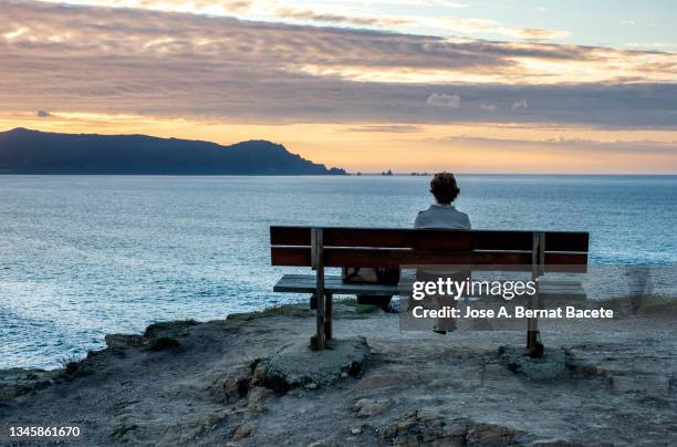 woman in nature sitting on a wooden bench contemplating a landscape on the coast of galicia. - parkbank stock-fotos und bilder