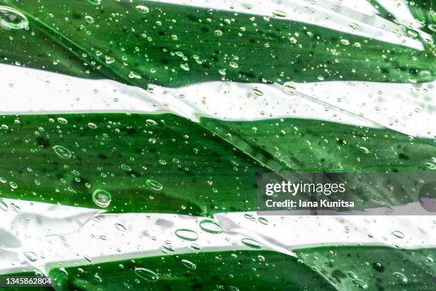 antibacterial aloe vera gel with bubbles. transparent face serum smeared on green leaves. hydrating hyaluronic acid. cosmetic products for skincare. cosmetology. - aloe stock pictures, royalty-free photos & images