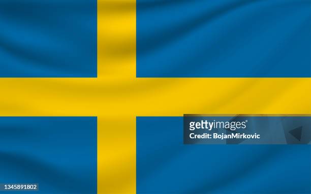 schwedische flagge. vektor - schweden stock-grafiken, -clipart, -cartoons und -symbole