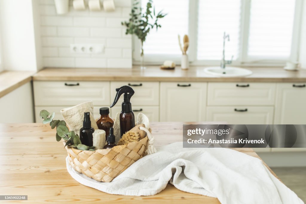 Various items and ingredients for eco home cleaning and house plants.