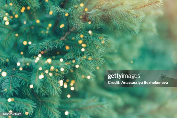 background from branches of christmas tree with burning lights from garland - background christmas stock pictures, royalty-free photos & images