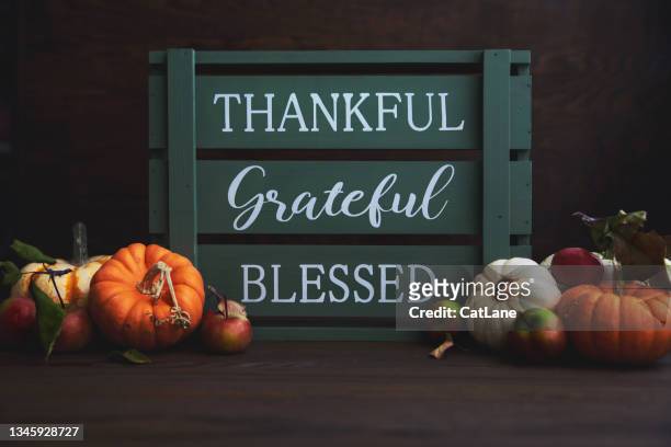thanksgiving fall still life with assorted miniature pumpkin and green crate with message - gratitude stockfoto's en -beelden