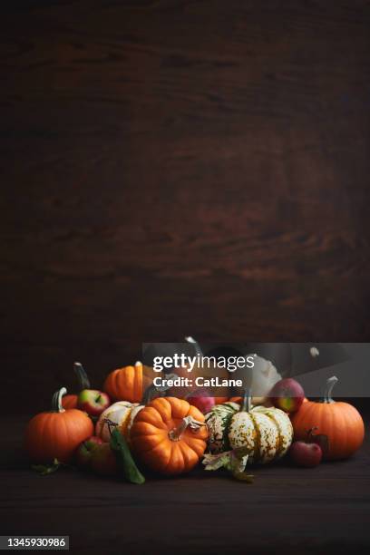 large collection of different pumpkin varieties in rustic setting for fall and thanksgiving - pumpkin stock pictures, royalty-free photos & images