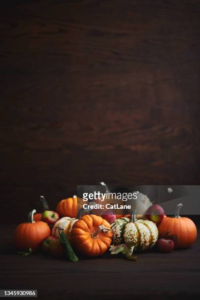 large collection of different pumpkin varieties in rustic setting for fall and thanksgiving - thanksgiving wallpaper imagens e fotografias de stock