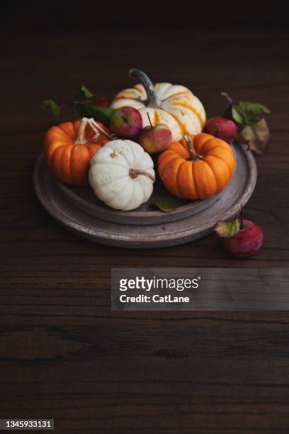 rustic thanksgiving still life with miniature pumpkins and crabapples on vintage plates - thanksgiving cat stock pictures, royalty-free photos & images