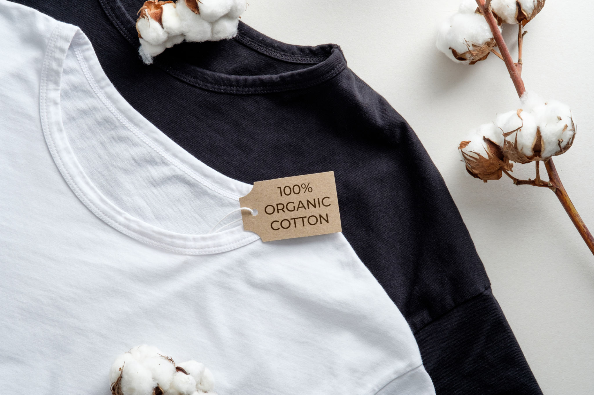 organic cotton fabric