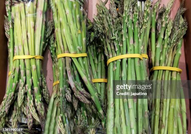 bunch of asparagus - esparragos stock pictures, royalty-free photos & images