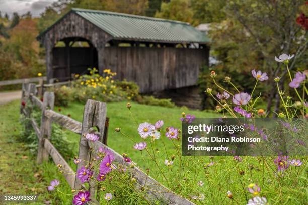 flowers in front of the church street wooden covered bridge in montgomery, vermont - vermont stock-fotos und bilder