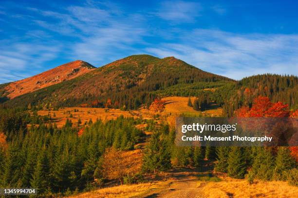 dramatic mountain landscape with autumn colors - alps romania stock pictures, royalty-free photos & images