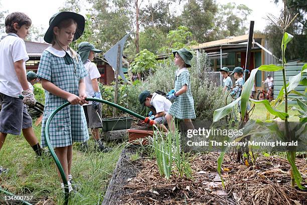 Year-old Lapstone Public School student, Kirsten Senn, watering the garden with water from the school's rainwater tank, pumped through the hose using...