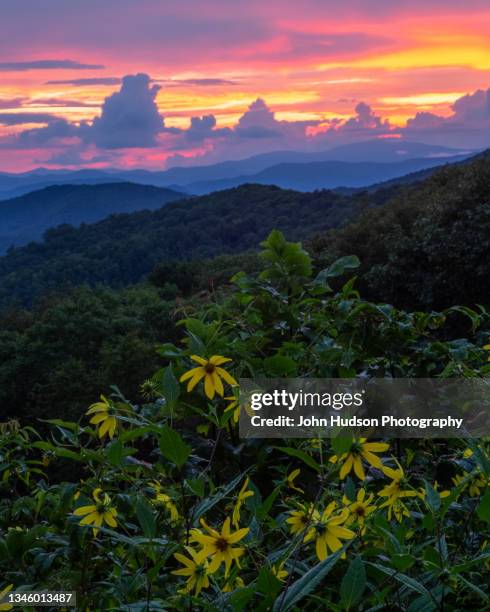 scenes from maggie valley, north carolina and great smoky mountains national park - glenmaggie stock pictures, royalty-free photos & images