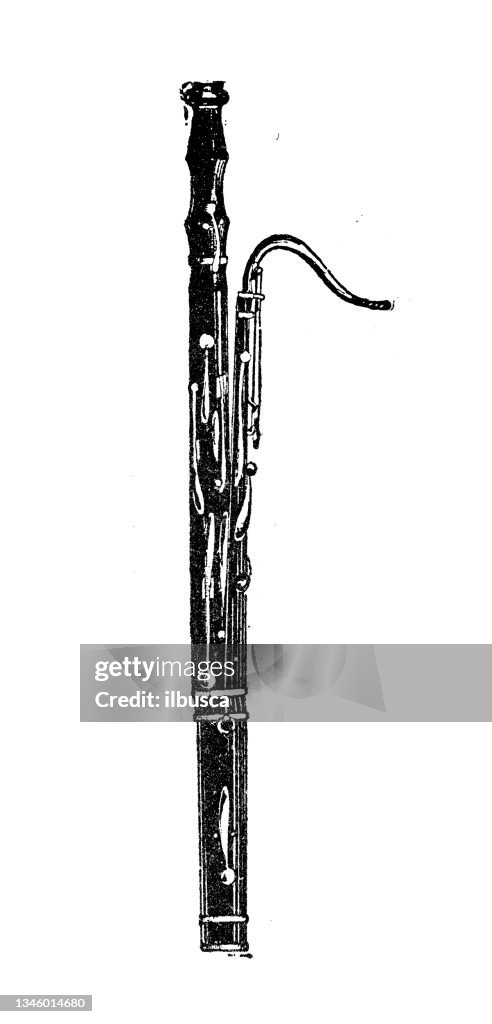 Antique illustration: Bassoon