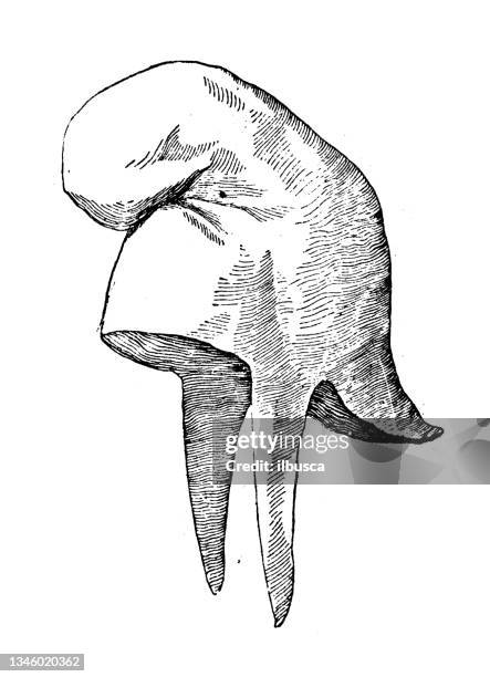 antique illustration: phrygian cap - phrygian cap stock illustrations