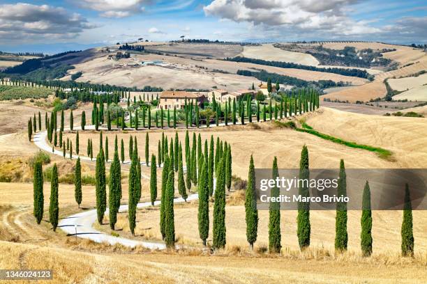 asciano, terre senesi, siena province, tuscany, italy - marco brivio stock-fotos und bilder