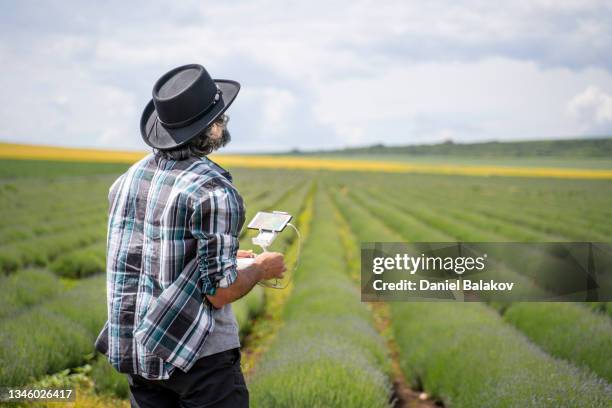 farmer examining the new harvest in the lavender plantation with - smart farming stock pictures, royalty-free photos & images