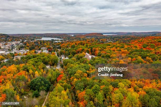 huntsville and highway 60 to algonquin park at fall, ontario, canada - muskoka stock pictures, royalty-free photos & images