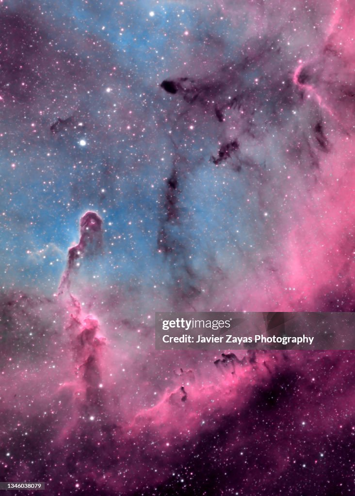 The Elephant's Trunk Nebula