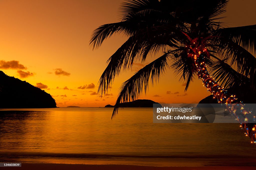 Illuminations de Noël sur Palmier sur la plage dans les Caraïbes