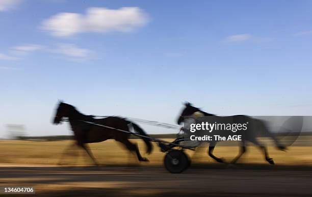 Queensland harness racing trainer/driver, Natalie Rasmussen, exercising her dual inter dominion winning pacer, Blacks a Fake, and his mate Simon, at...