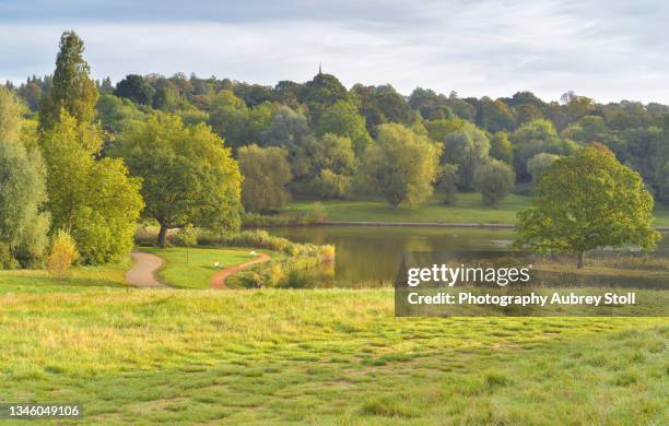 hampstead heath and the model boating pond - hampstead heath foto e immagini stock