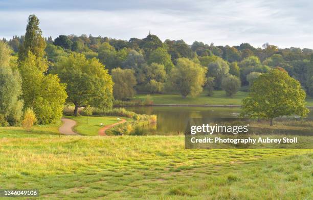 hampstead heath and the model boating pond - hampstead heath - fotografias e filmes do acervo