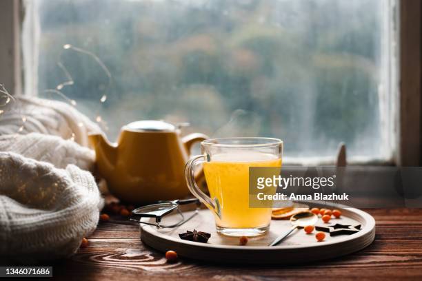 glass cup of sea buckthorn tea, hot winter and fall drink. wooden tray decorated with berries on window sill, knitted white fabrics. - 温かい飲み物 ストックフォトと画像