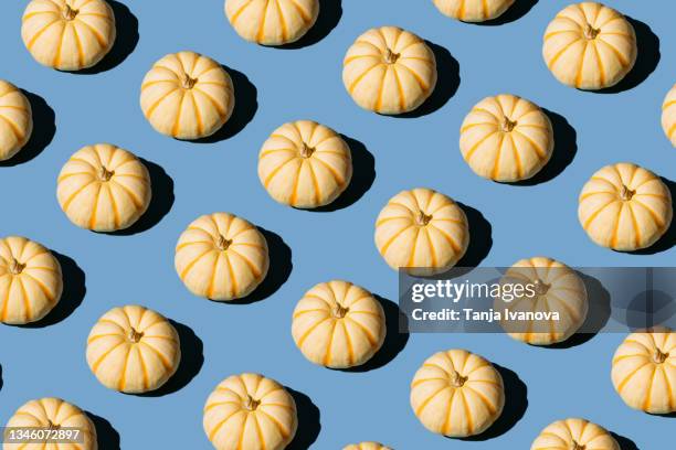 pattern made of pumpkins on blue background. autumn, fall composition. flat lay, top view. happy halloween concept - gourd family stock pictures, royalty-free photos & images