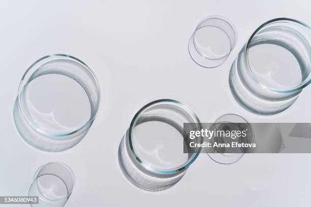 many empty petri dishes placed in a row on gray background. concept of laboratory researches. photography in flat lay style - 科学 ストックフォトと画像