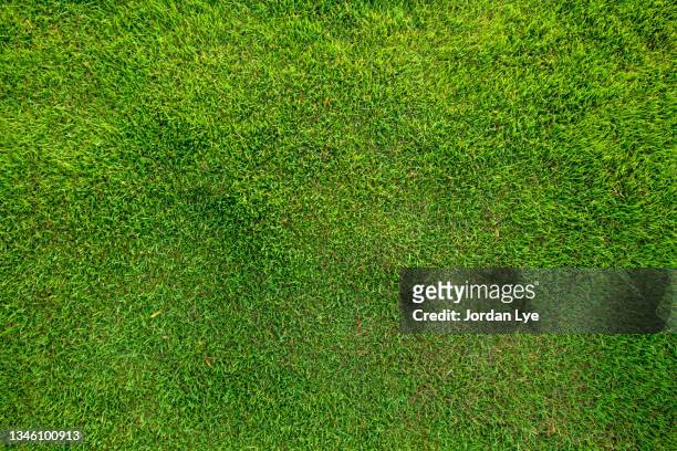 green grass background - football pitch from above stock pictures, royalty-free photos & images