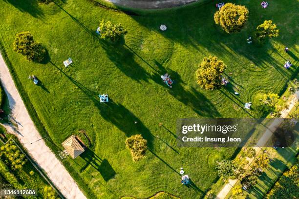 aerial view of people in a city park on a sunny day - aerial park stockfoto's en -beelden