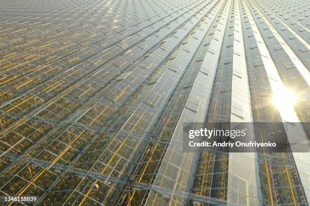 greenhouse roof on sunset - precision agriculture stock pictures, royalty-free photos & images