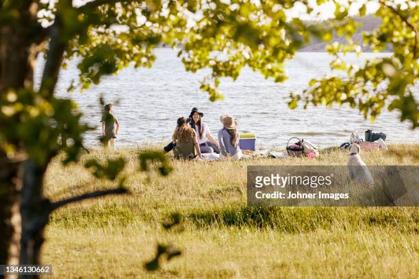 women having picnic at lake - pique nique photos et images de collection
