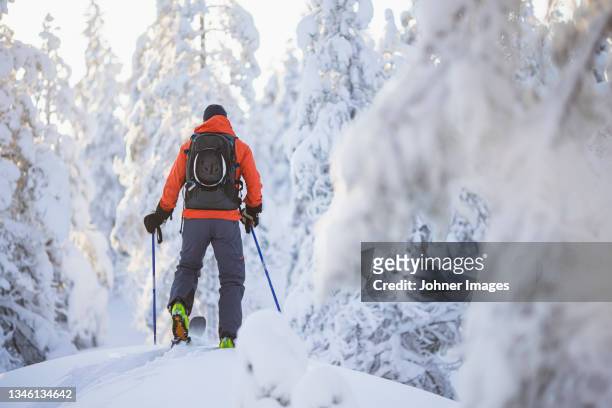 rear view of man cross-country skiing - cross country skiing bildbanksfoton och bilder