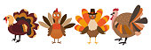 Four cartoon thanksgiving turkeys in a pilgrim hats on white background