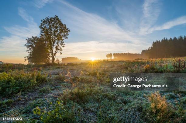 morning frost on a field during sunrise - belgium landscape stock pictures, royalty-free photos & images