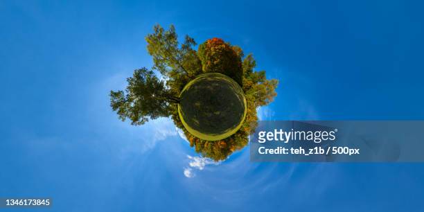 directly above shot of tree against blue sky - 360 globe stock pictures, royalty-free photos & images