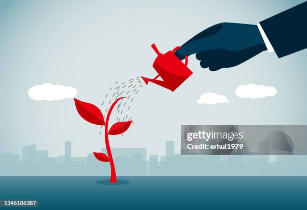 watering - seed sprouting stock illustrations