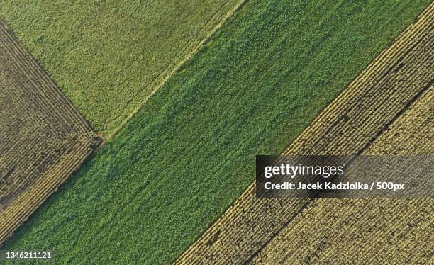 full frame shot of agricultural field,jerzmanowice e,poland - field aerial imagens e fotografias de stock